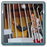 NPF_febbraio2011_182